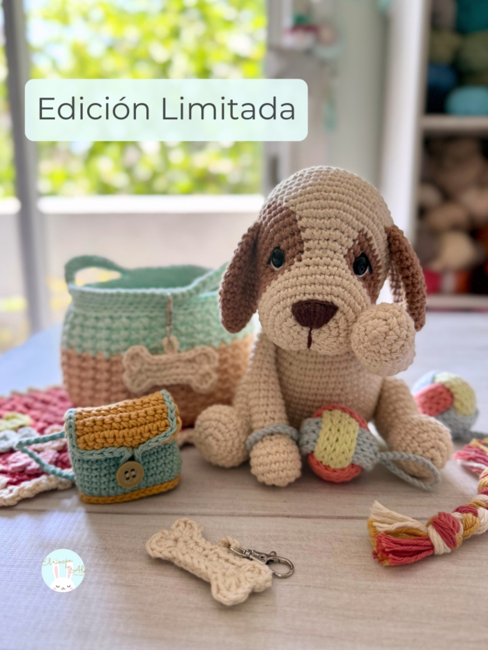 Guía Rocco Completa + Bonus de 🎁