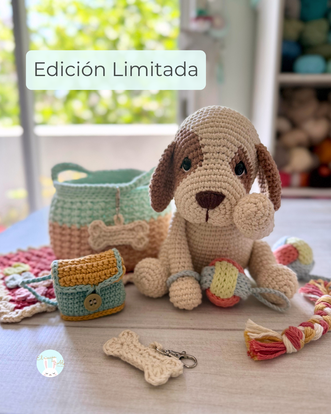 Guía Rocco Completa + Bonus de 🎁